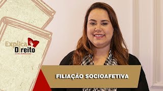 Explica Direito Filiação Socioafetiva  2019 [upl. by Wilber681]