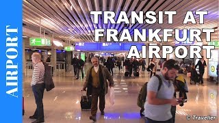 TRANSIT WALK AT FRANKFURT Airport FRA Terminal 1  Connection Flight Transfer Arriving amp Departing [upl. by Strephonn]